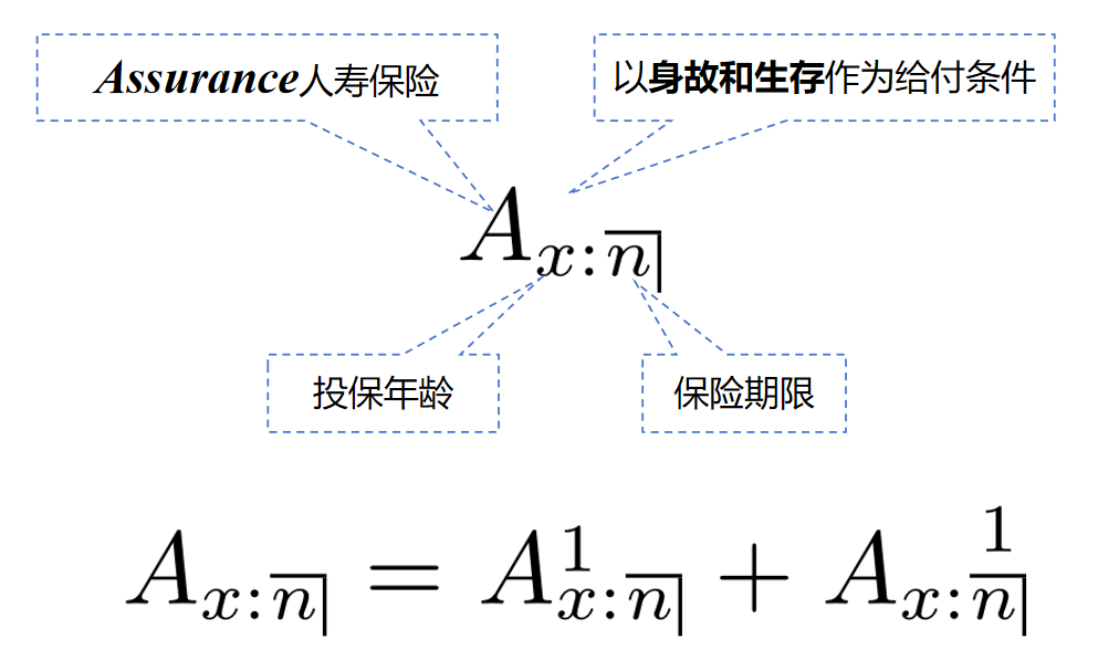 两全保险精算现值符号示意