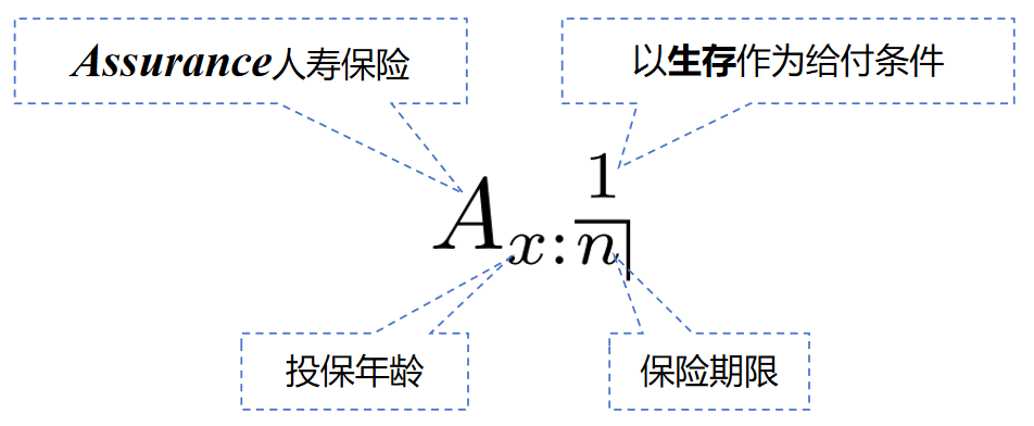 纯生存保险精算现值符号示意